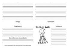 Qualle-Faltbuch-vierseitig-1.pdf